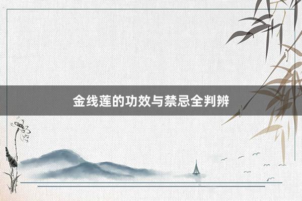 金线莲的功效与禁忌全判辨